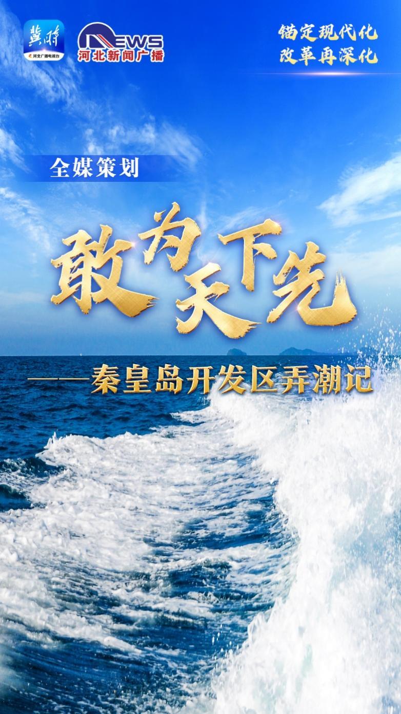 秦皇岛开发区最新动态，小巷深处的独特风情小店